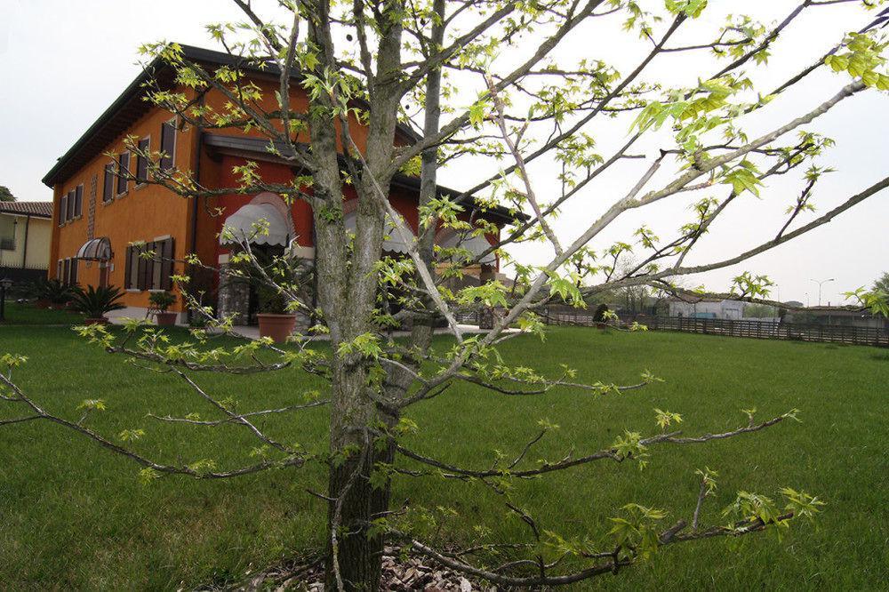 Agroturismo Bacche Di Bosco Verona
